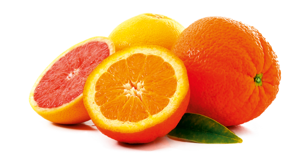PURE-BIO Orange/Pfirsich/Karotte  2 Trays a 24 Dosen a 250ml / 48 Dosen